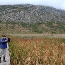 Marion in the wetland&amp;nbsp;Draghomansko Blato